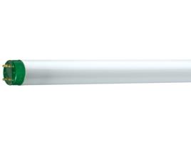 Lâmpada Fluorescente  MASTER TL-D Eco G13 15,7 W