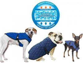 Colete para Cães  Refrescante (Azul - 87-95cm - HydroQuartz - L - Porte Grande)