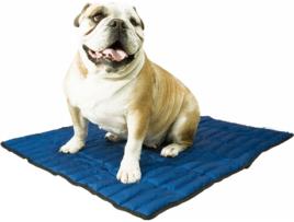 Tapete para Cães AQUACOOLKEEPER Refrescante (60x50cm - Tamanho M)
