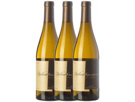 Vinho ROLLAND & GALARRETA Rolland & Galarreta Verdejo Rueda Crianza (0.75 L - 3 unidades)