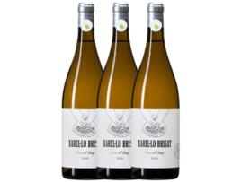 Vinho CAN RÀFOLS Can Ràfols Brisat Verema Solidària Xarel·Lo Penedès (0.75 L - 3 unidades)