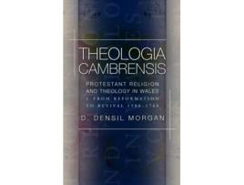 Livro theologia cambrensis de d. densil morgan (inglês)