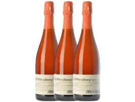 Espumante DG Dg Rosé Pinot Preto Brut Cava Reserva (0.75 L - 3 unidades)