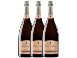 Espumante PEDREGOSA Pedregosa Millésimé Brut Nature Cava Reserva  (1.5 L - 3 unidades)