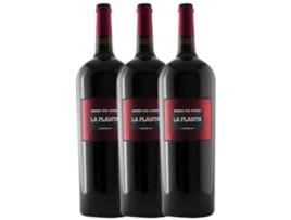 Vinho ARZUAGA Arzuaga La Planta Tempranillo Ribera Del Duero Joven (1.5 L - 3 unidades)