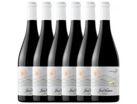 Vinho JANÉ VENTURA Jané Ventura Selecció Penedès Crianza (0.75 L - 6 unidades)