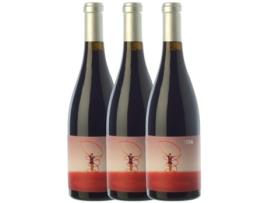 Vinho CA N'ESTRUC Ca N'Estruc Idoia Negre Catalunya Crianza (0.75 L - 3 unidades)