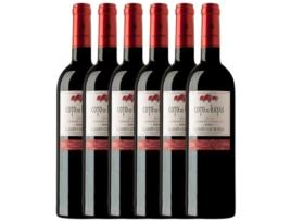 Vinho BODEGAS ARAGONESAS Bodegas Aragonesas Coto De Hayas Campo De Borja Crianza (0.75 L - 6 unidades)