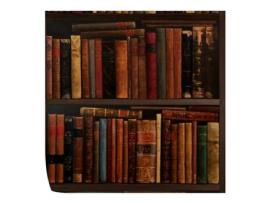 Papel de Parede Vintage WALLPAPERS4BEGINNERS Biblioteca (250x200cm - Castanho)