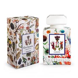 Carthusia perfume A'Mmare EDP 50 ml