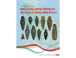 Livro das jungneolithikum in schleswig-holstein de sebastian schultrich (alemão)