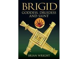 Livro brigid de brian wright (inglês)