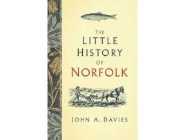 Livro the little history of norfolk de dr john a. davies (inglês)