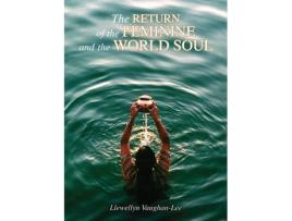 Livro the return of the feminine and the world soul de llewellyn vaughan-lee (inglês)