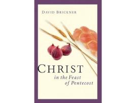 Livro christ in the feast of pentecost de rich robinson (inglês)