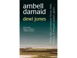 Livro ambell damaid de dewi jones (galês)