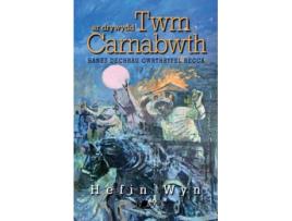 Livro ar drywydd twm carnabwth - hanes dechrau gwrthryfel becca de hefin wyn (galês)