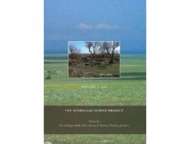 Livro dzarylgac survey project de pia guldager bilde (inglês)