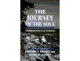 Livro the journey of the soul de leonard s. kravitz,kerry m. olitzky (inglês)