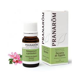 Óleo Essencial Egito Pelargonium Asperum Pranarôm 10 ml