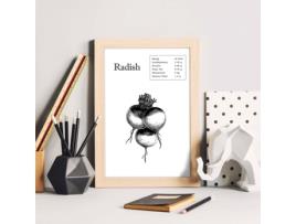 Póster NACNIC de Rabanete. Frutas e Vegetais Em Inglês.