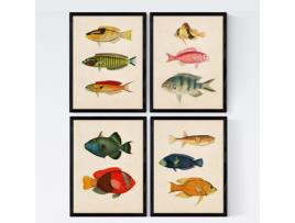 Conjunto de Pósters NACNIC (21 x 29.7 cm)