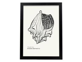 Póster Artemante NACNIC Pop. Corona Shell Ilustrações artísticas modernas para decoração de interiores.