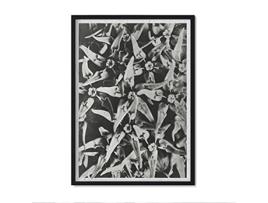 Póster NACNIC O Piso Preto e Branco 41. com Ilustrações de Flores e Plantas em Tons Cinzentos.