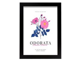 Póster Artemante NACNIC Pop. Ilustrações artísticas modernas odoratas para decoração de interiores.
