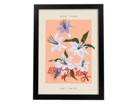 Póster NACNIC com A Ilustração de Blumenau e Galeria New York