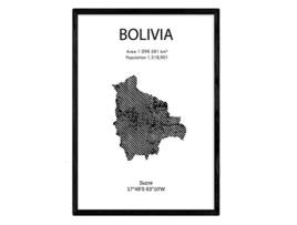 Póster NACNIC de Bolivia (A4)