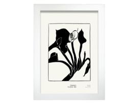 Póster Artemante NACNIC Pop. Aarum Lily Ilustrações artísticas modernas para decoração de interiores.