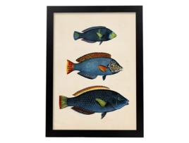 Póster NACNIC Perda de Três Peixes Azuis, com Fundo Amarelo, Verde e Vermelho em Papel Vintage