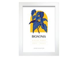 Póster Artemante NACNIC Pop. Mercado de flores de ilustrações artísticas modernas de Bignonia para decoração de interiores.