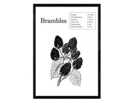 Póster NACNIC de Brambles (A3)