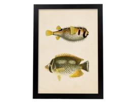Póster NACNIC Perda de Dois Peixes Amarelos Cinza e Preto, Fundo de Papel Vintage