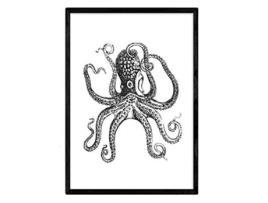 Nacnic Póster NACNIC de Pulpo (A4)