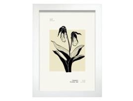 Póster Artemante NACNIC Pop. Orquídeas duplas ilustrações artísticas modernas para decoração de interiores.