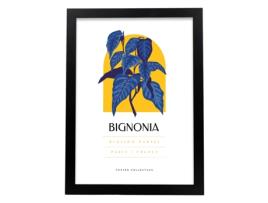 Póster NACNIC Bignonia Blossom Market