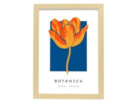 Póster Artemante NACNIC Pop. Ilustrações artísticas modernas de Tulipán para decoração de interiores.