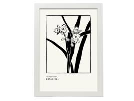 Póster Artemante NACNIC Pop. Phalaenopsis Ilustrações artísticas modernas para decoração de interiores.