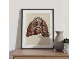 Poster Do Coração NACNIC Pulmões Traquéia E Cartilagem Ilustrações Decorativas De Anatomia E Medicina Em Estilo Vintage Tamanho A3 Com Armação Branca