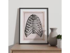 NACNIC Poster E Vértebras Torácicas Ilustrações Decorativas De Anatomia E Medicina Em Estilo Vintage Tamanho A3 Com Armação Branca