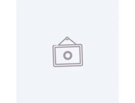 Sony Firewall Zero Hour Playstation 4 Básico