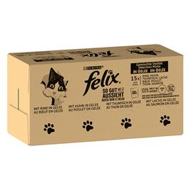 Felix Fantastic 120 x 85g - Jumbopack - Misto de carnes 2 (vaca, salmão, frango, atum)