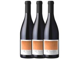 Vinho VALTUILLE Valtuille La Tellería Mencía Bierzo (0.75 L - 3 unidades)