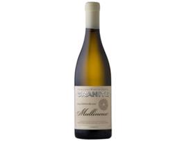 Vinho MULLINEUX & LEEU Mullineux & Leeu Granite Chenin Branco Swartland (0.75 L - 1 unidade)