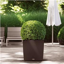 LECHUZA Vaso CUBE Cottage 50 ALL-IN-ONE cor moca