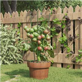 vidaXL Suportes p/ plantas de jardim c/ 3 anéis 5 pcs 45 cm aço verde