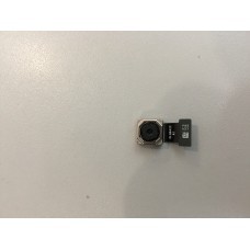 Óleo Essencial de Eucalipto Bio 10ml ()